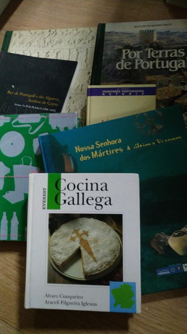 LOTE DE LIVROS DIVERSOS