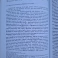 INTERFERÊNCIA E INTEGRAÇÃO DOS PORTUGUESES NA BIRMÂNIA 1580-1630