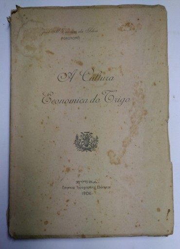 A CULTURA ECONOMICA DO TRIGO