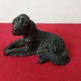 Cão