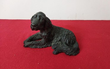 Cão