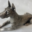 Cão