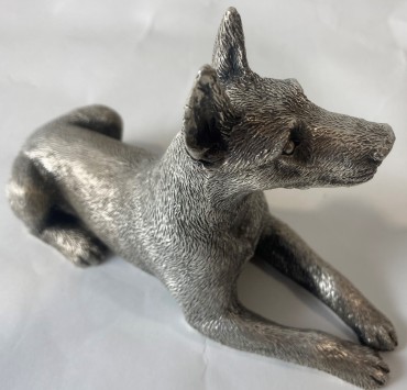 Cão