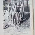 AS VIAGENS DO BISPO D. FREI VITORIANO PORTUENSE À GUINÉ E A CRISTIANIZAÇÃO DOS REIS DE BISSAU