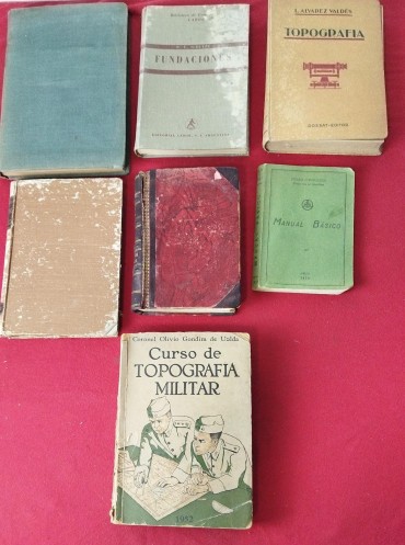 Lote de livros 