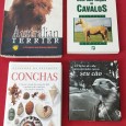 Lote de livros diversos 