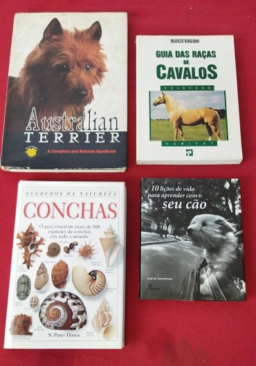 Lote de livros diversos 
