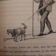 Historia dos Cães em Portugal – das Origens a 1800