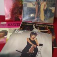 LOTE DE DISCOS DE VINIL DIVERSOS