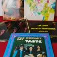 LOTE DE DISCOS DE VINIL DIVERSOS