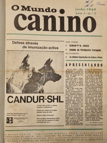 O MUNDO CANINO
