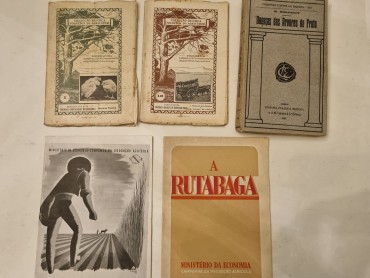 AGRICULTURA