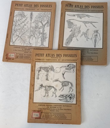 «Petit Atlas des fossils» VOL. I, II e III