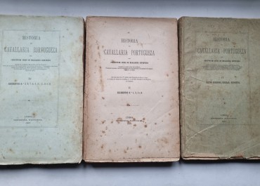 HISTÓRIA DA CAVALARIA PORTUGUESA