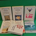 Lote de livros diversos 