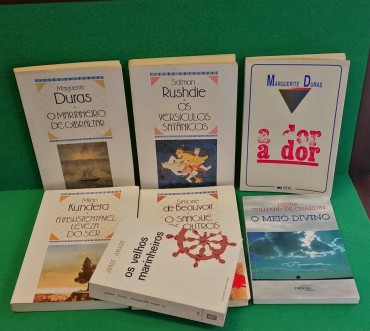 Lote de livros diversos 