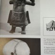 «Medicine - An Illustrated History»