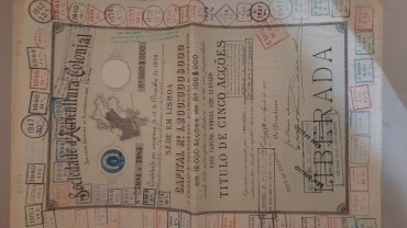 Conjunto de Cinco (5) Títulos de Acções 