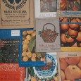 Conjunto de 28 catálogos antigos de Agricultura