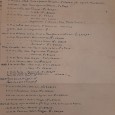 Documentos de Pedigree de um Cavalo em Leilão