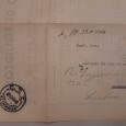 Documentos de Pedigree de um Cavalo em Leilão