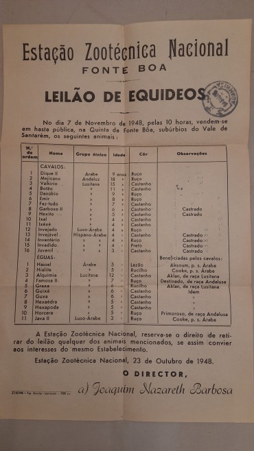 Documentos de Pedigree de um Cavalo em Leilão