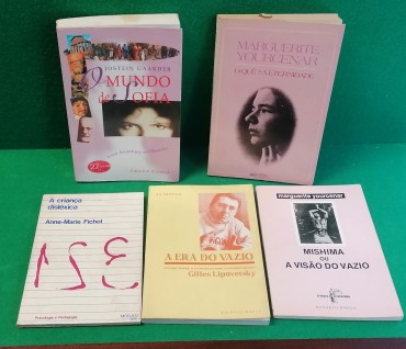 Lote diverso de livros 