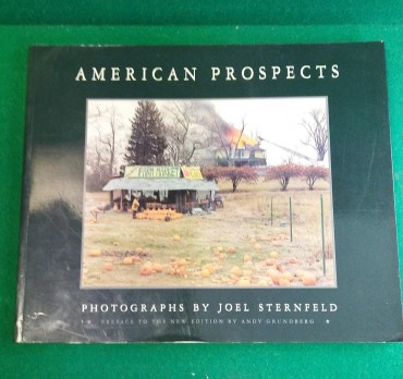 «American Prospects»