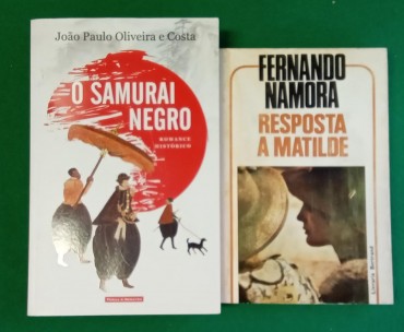 Lote de livros diversos