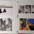 Lote de impressões coloridas - DIÁRIO DE NOTICIAS