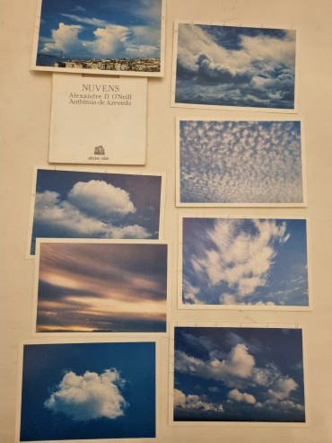 ALEXANDRE DELGADO O´NEIL 