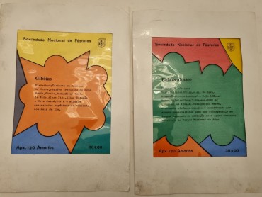 SOCIEDADE NACIONAL DE FÓSFOROS 