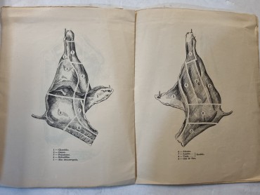 NOMENCLATURA DAS PEÇAS DA CARNE DE VACA