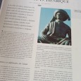 O Ano do Infante - Revista Oceanos