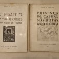 2 OBRAS DE VIRGÍLIO ARRUDA