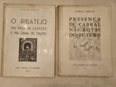 2 OBRAS DE VIRGÍLIO ARRUDA