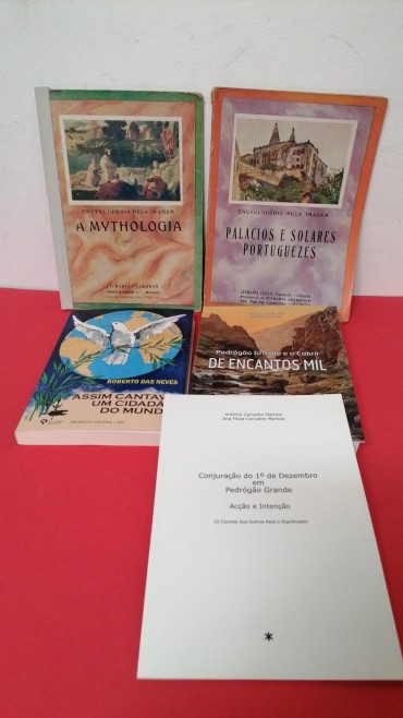 Lote de livros 