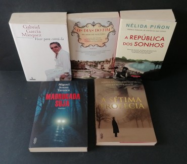 Lote de livros 