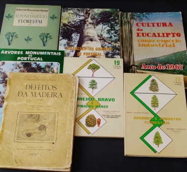 LOTE DE PUBLICAÇÕES DIVERSAS