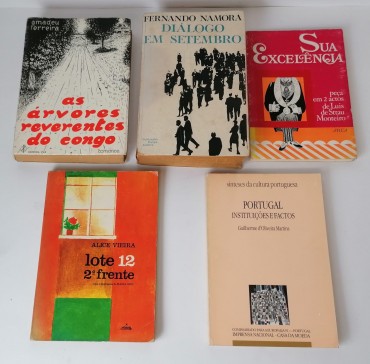 Lote de livros diversos 