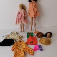 Lote de Barbies e acessórios 