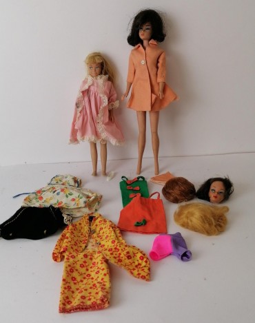 Lote de Barbies e acessórios 