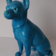 Cão