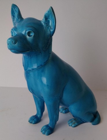 Cão