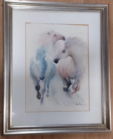 Cavalos