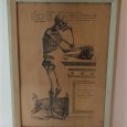 «Corpo Humano» - Andrea Vesalii 