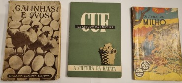 AGRICULTURA e PECUÁRIA