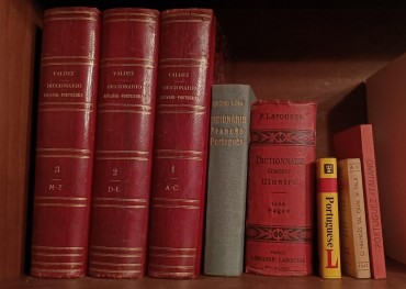 Lote de livros