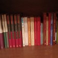 Lote de livros diverso