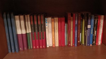 Lote de livros diverso